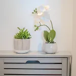 Chic Flat Near Buckingham Palace & Victoria Station